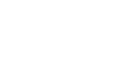 12-ico02