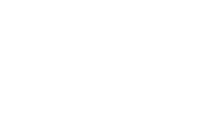12-ico06