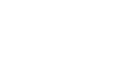 12-ico07