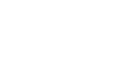 12-ico09