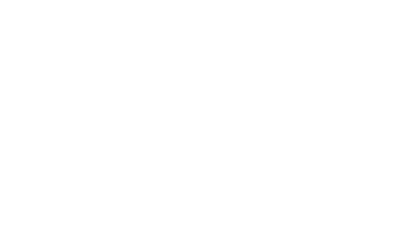 12-ico10